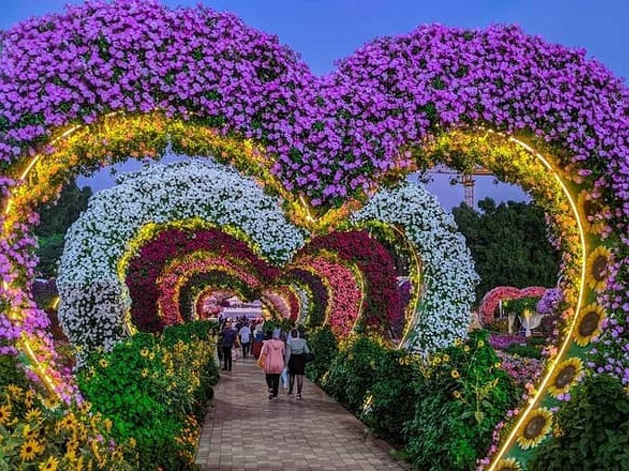 Bilet do Miracle Garden, Zjednoczone Emiraty Arabskie