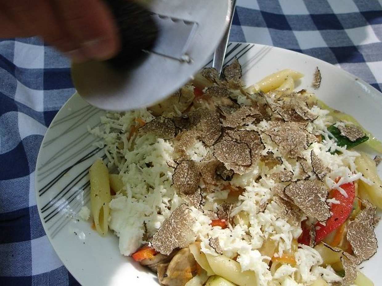 Cyprus Truffle Tour in Paphos, photo 5