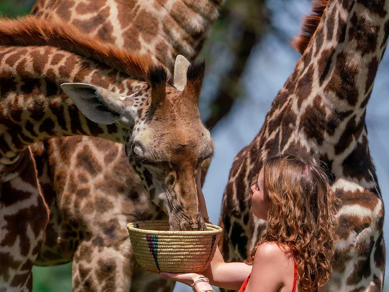 From Arusha: Serval Wildlife Sanctuary & Chemka Hot Spring in Tanzania, photo 2