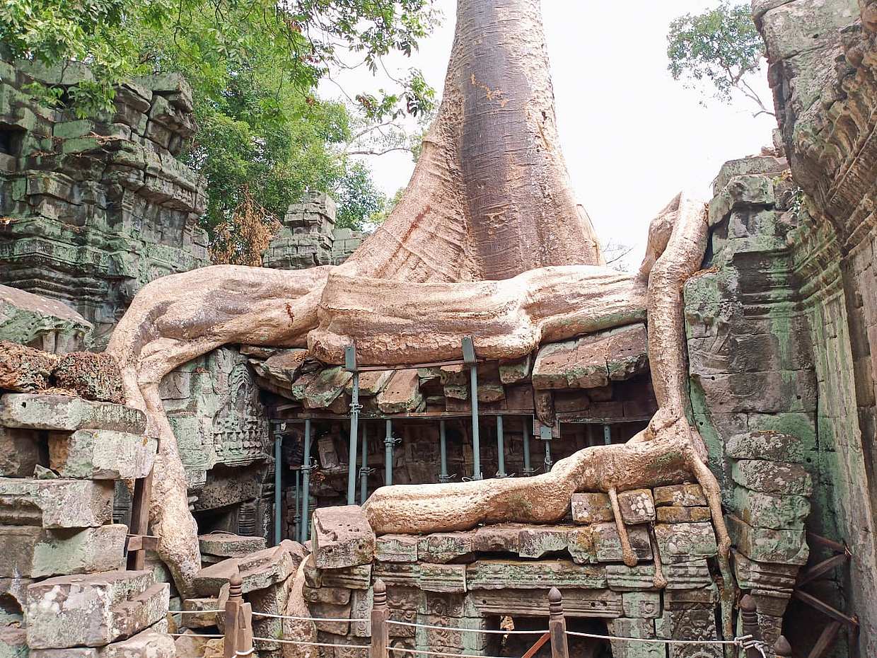 Private One Day Trip-The Best Experience in Siem Reap in Cambodia, Krong Siem Reap, photo 4