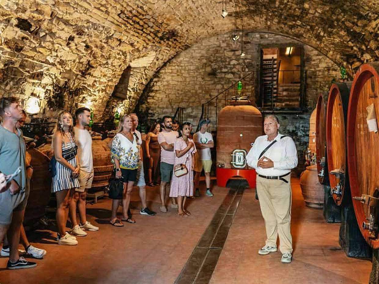 Wine Experience in Tuscany in Italy, photo 3