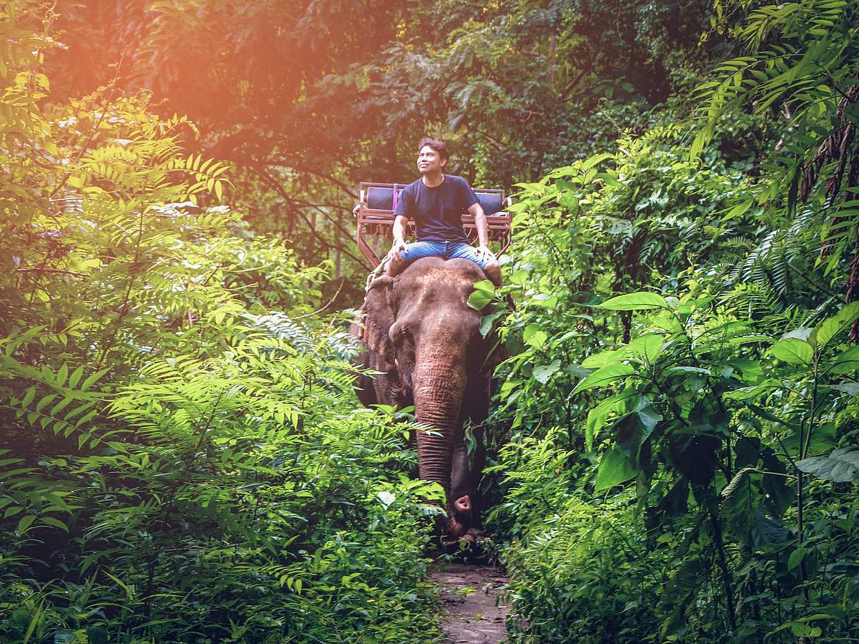 Bangkok - Kanchanaburi: Río Kwai con paseo en elefante y rafting en bambú en Tailandia, photo 2
