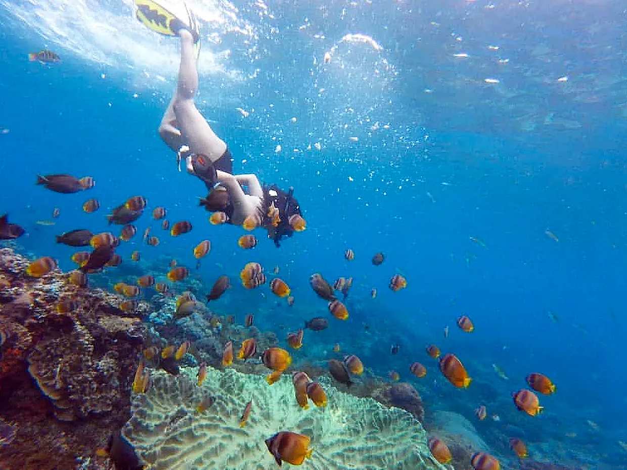 All Inclusive: Bali Blue Lagoon ze snorkelingiem w Indonezji, Blue Lagoon Snorkeling.
, photo 3