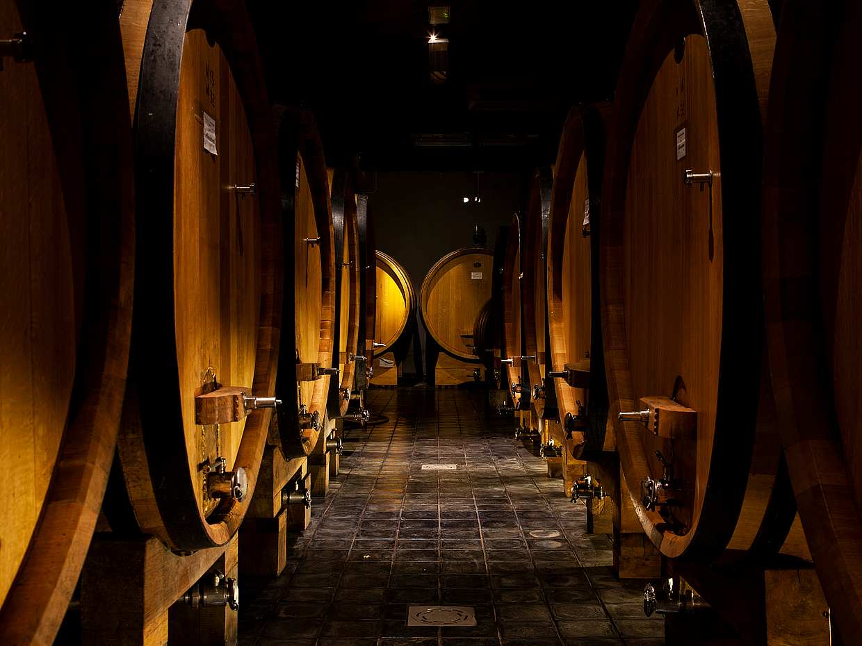 Exclusive Brunello di Montalcino from Florence in Italy, photo 3