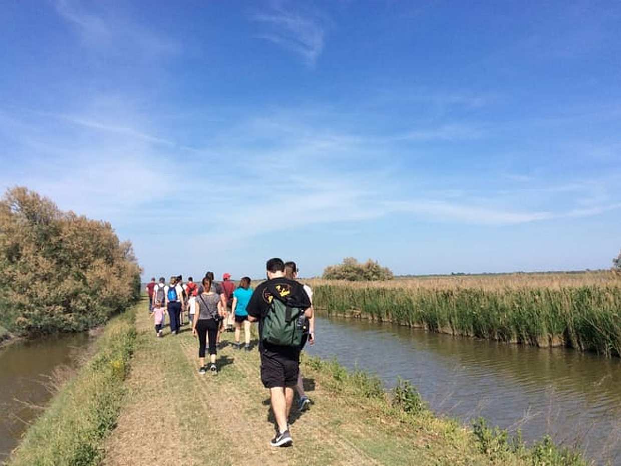 Comacchio Valleys: nature hike to the Boscoforte Peninsula among wild horses and lagoon landscapes, photo 5