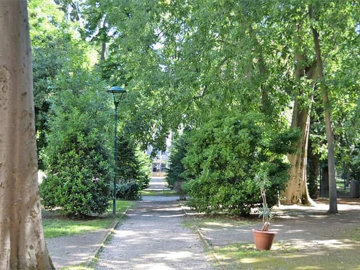 Venice Hidden Gardens: Secret Walking Tour, photo 4
