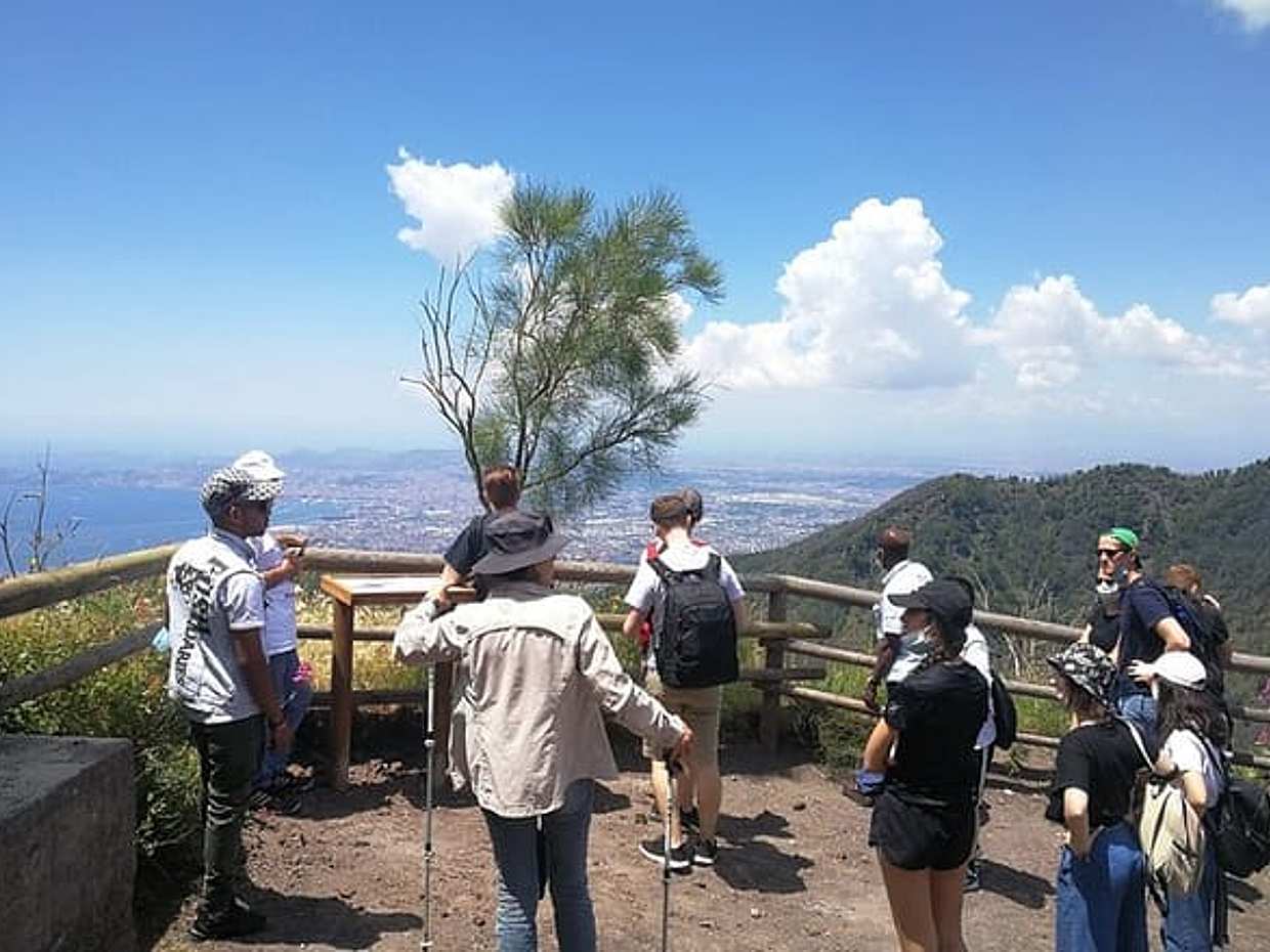 Escursione a terra Vesuvio e sito di Ercolano (6 ore), photo 2