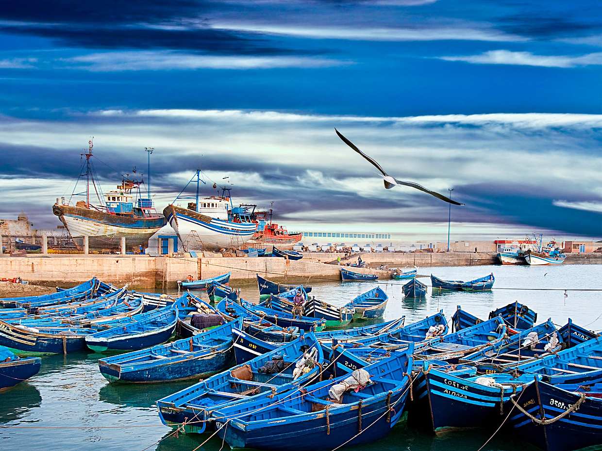 Essaouira Private Day Trip from Marrakech in Morocco, Marrakesh, photo 4