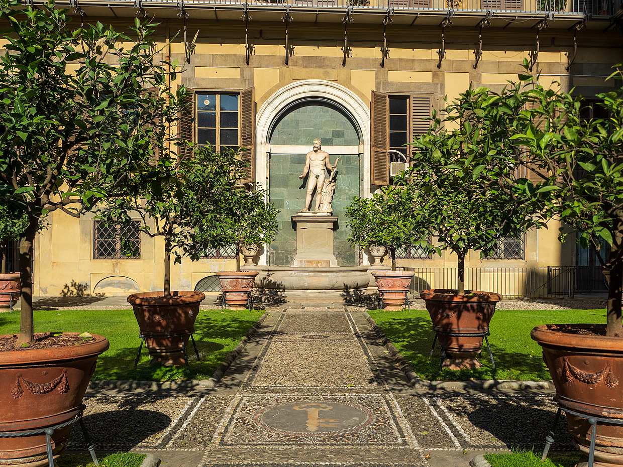 Medici: Masters of Florence Half-day Private Walking Tour, Italy