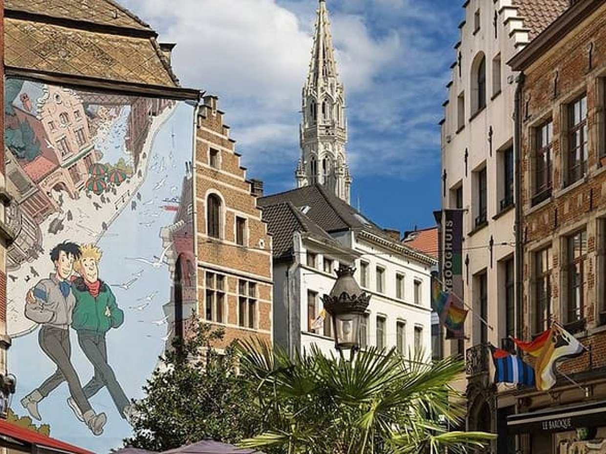 Half-Day Private Walking Tour in Brussels Old City