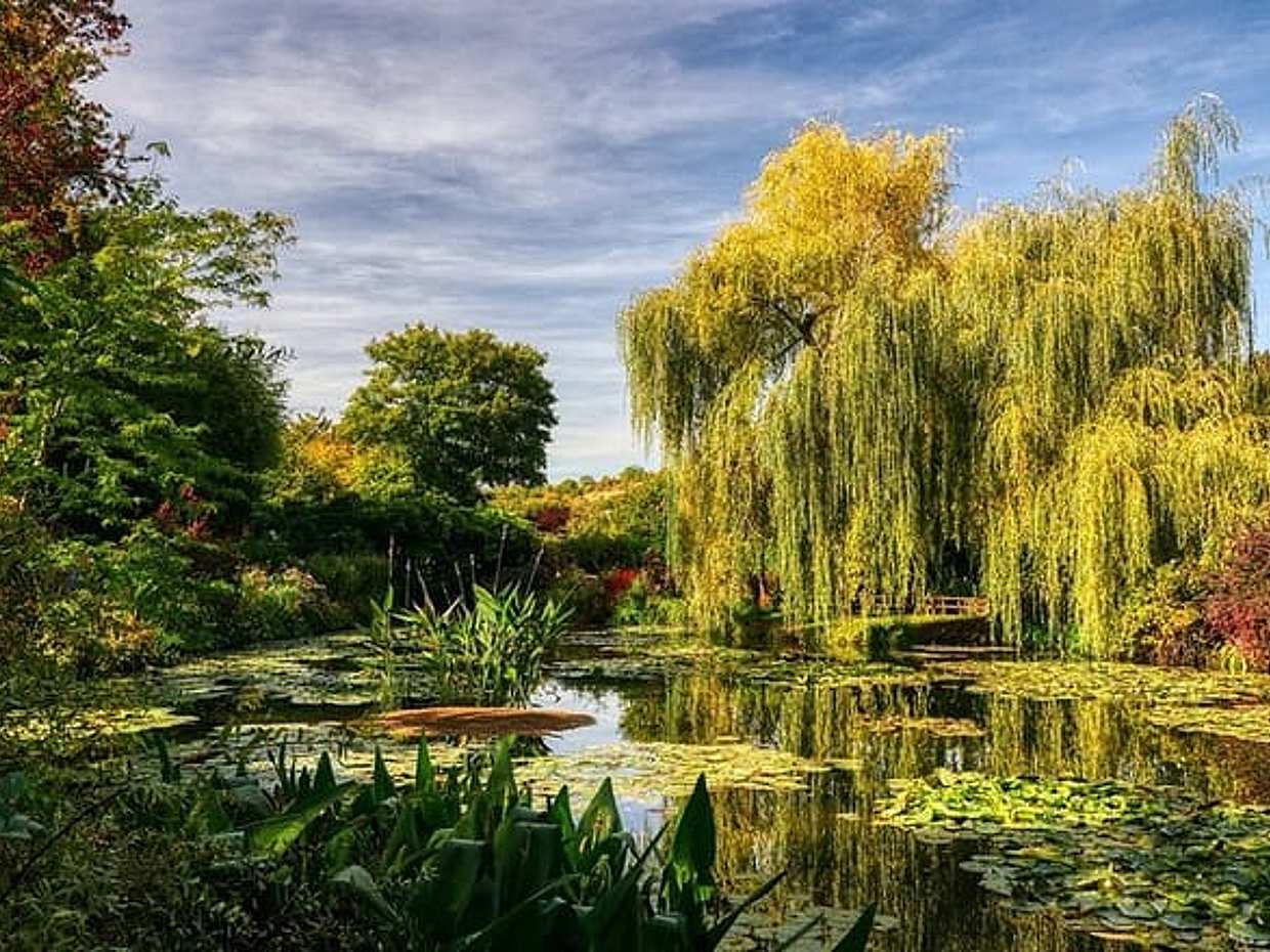 Soukromá prohlídka Claude Moneta z Paříže do Giverny a Vernon ve Francii, photo 2