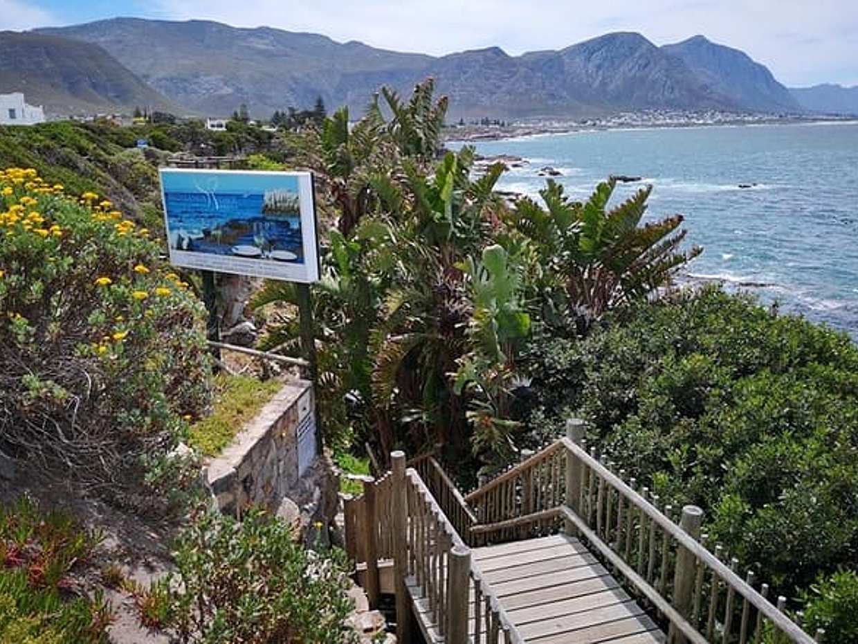 Private Full Day Shore Whale Watching Penguins Wine Tasting Tour from Cape Town in South Africa, photo 2