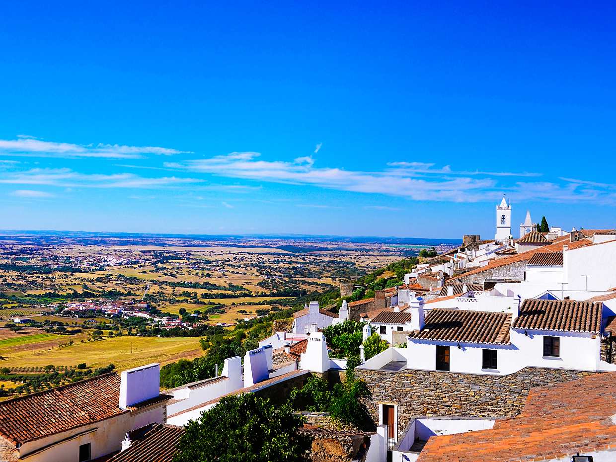 Taste Wine and Coffee in Portugal Tour, Lisbon