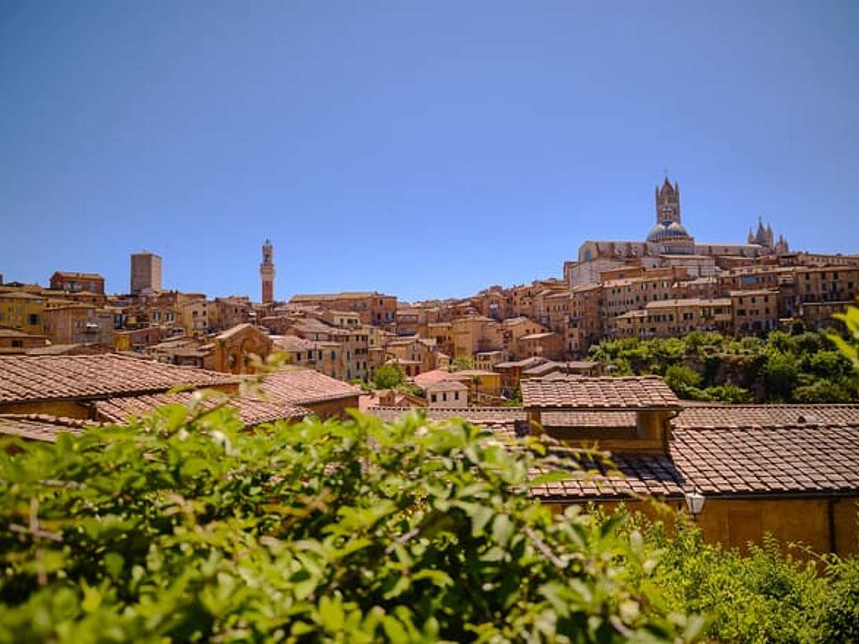 Day Tour From Florence To Siena, San Gimignano, Monteriggioni & Chianti Wine Region With Wine Tasting in Italy, photo 5