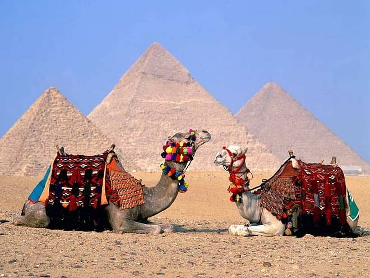 Discover Ancient Wonders Half Day Tour Giza Pyramids and Sphinx, photo 3