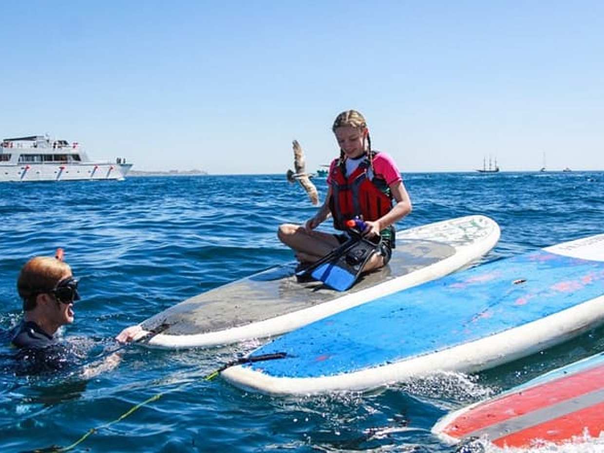 Private Cabo Paddle Board & Snorkel Adventure to the Arch