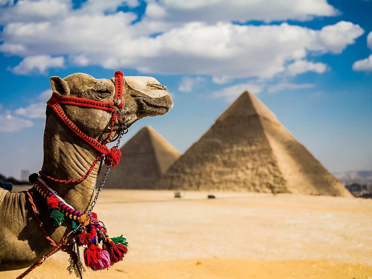 Day Tour to Cairo from Sharm El Sheikh by Plane