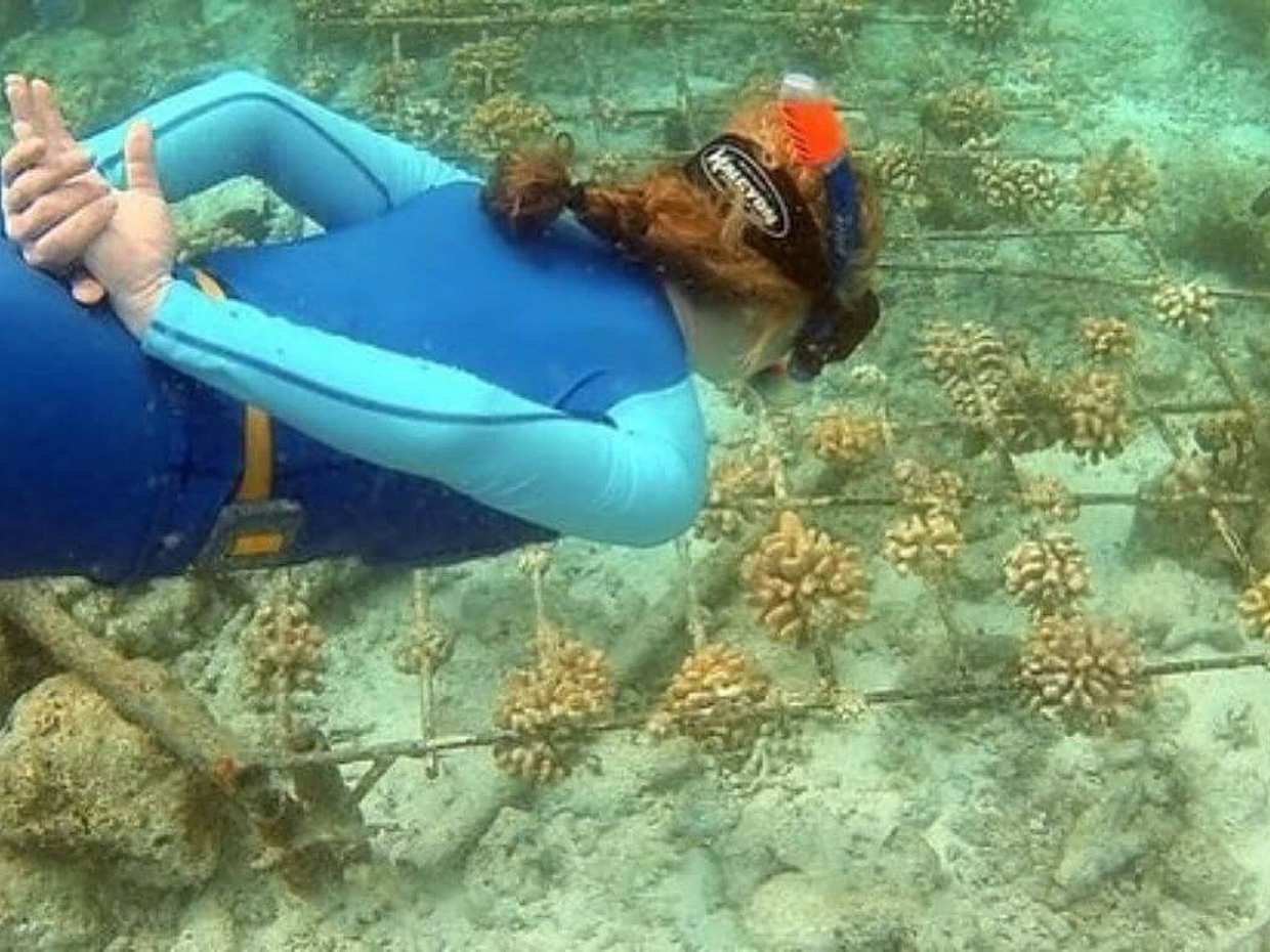 An Insight into Maldives Marine Conservation in Malé, photo 2