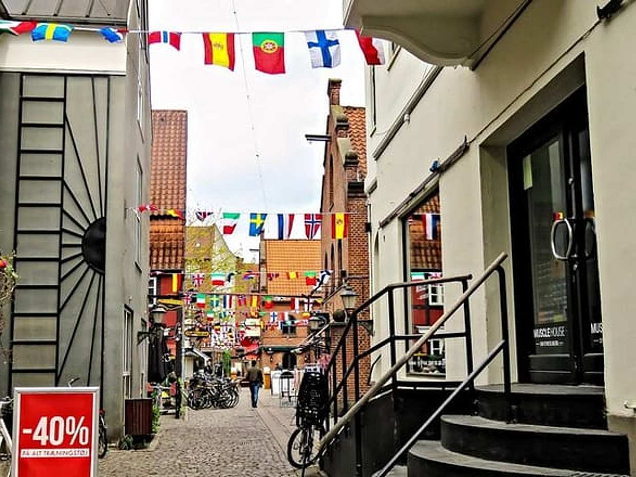 "Privétransfer van Kopenhagen naar Odense, 2 uur stop in Denemarken", photo 4