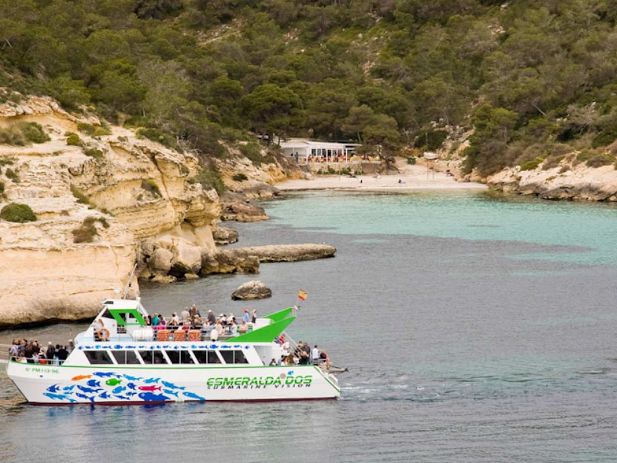 Two-Hour Dolphin Spotting Catamaran Cruise Ticket