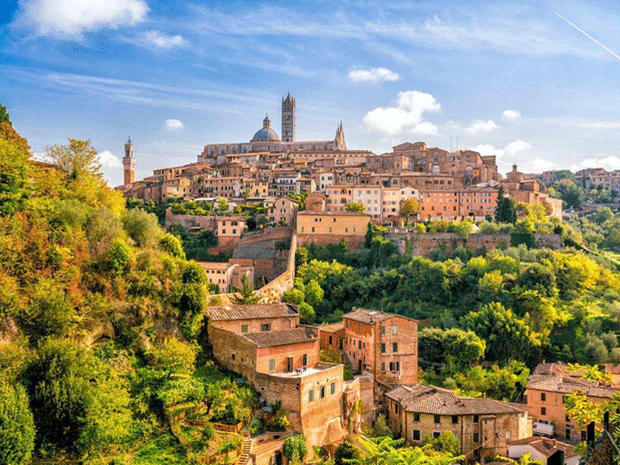 Private Tour from Florence to Siena, San Gimignano & Pisa