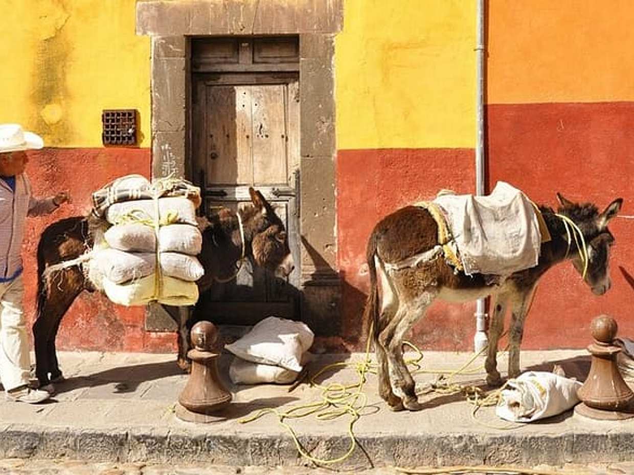 Guanajuato City to San Miguel de Allende Private 1-Way Transfer, photo 2
