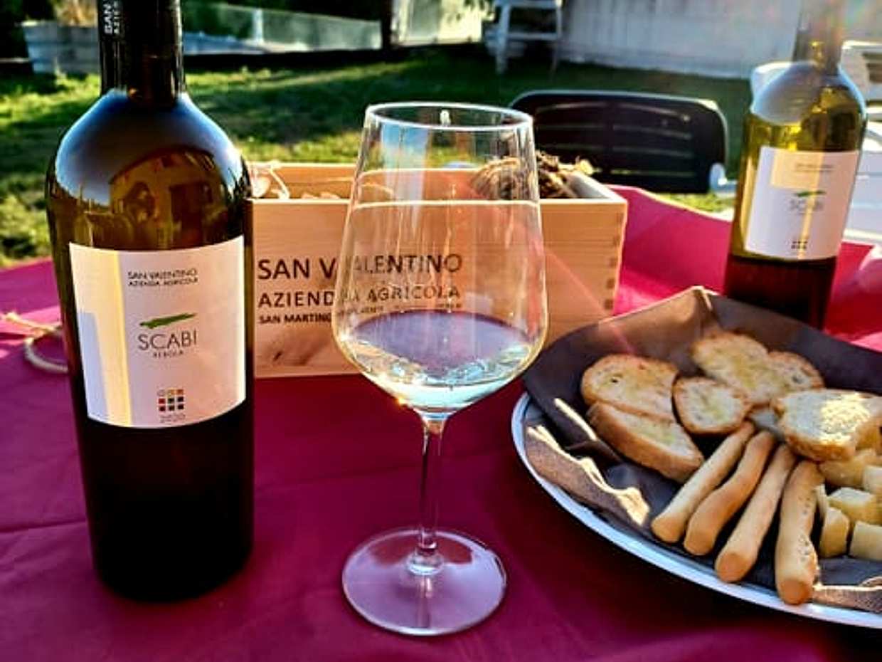 Rimini: Wine Experience – Guided Cellar & Vineyard Tour with 5 DOC Wines
