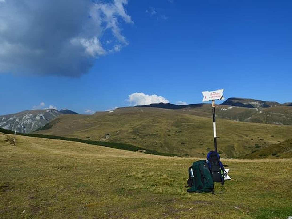 4-Day Carpathian Trek: Bucegi Mountains and Piatra Craiului National Park in Romania, Brașov, photo 5