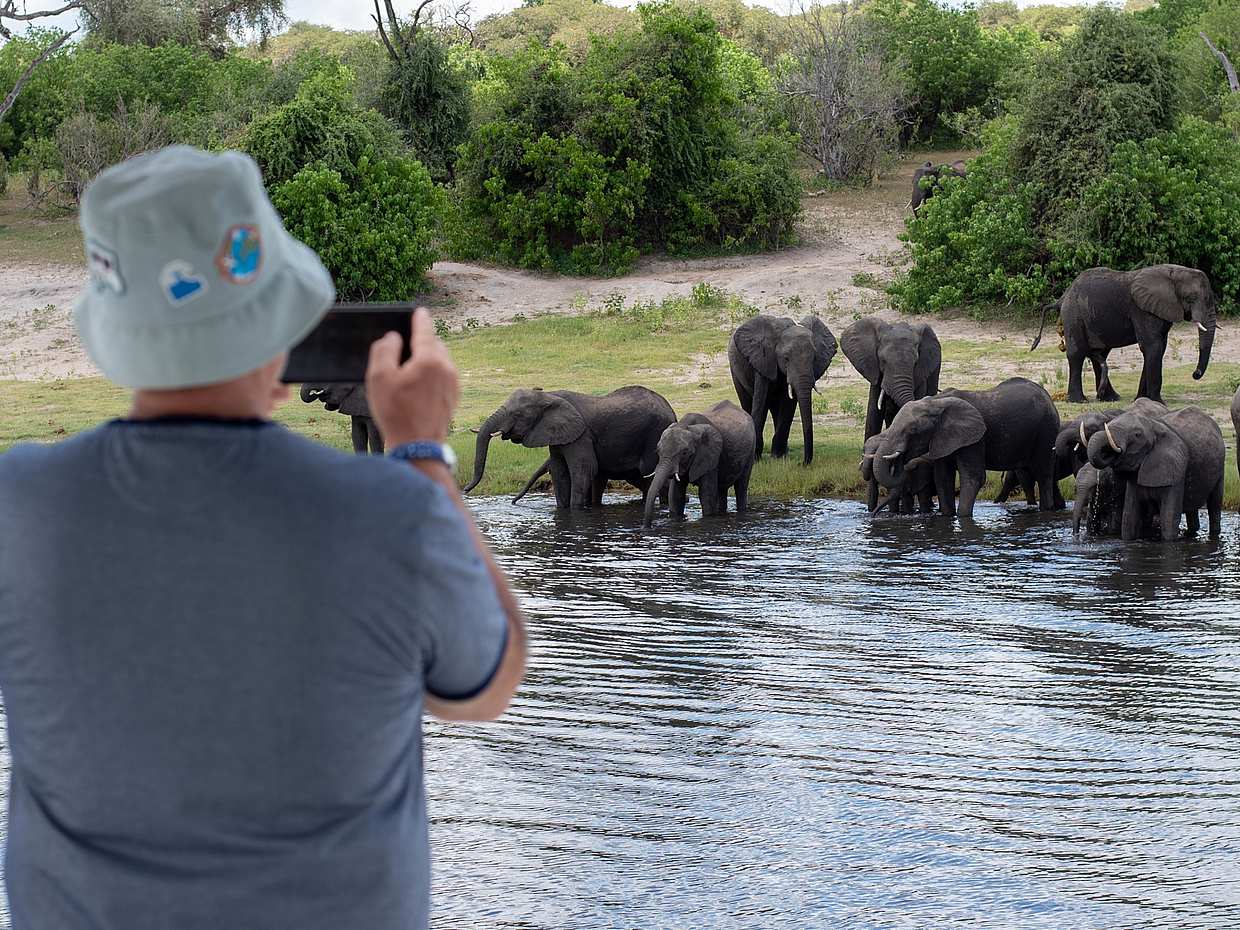 Chobe: Viagem de um dia na Zâmbia, Livingstone.
, photo 4