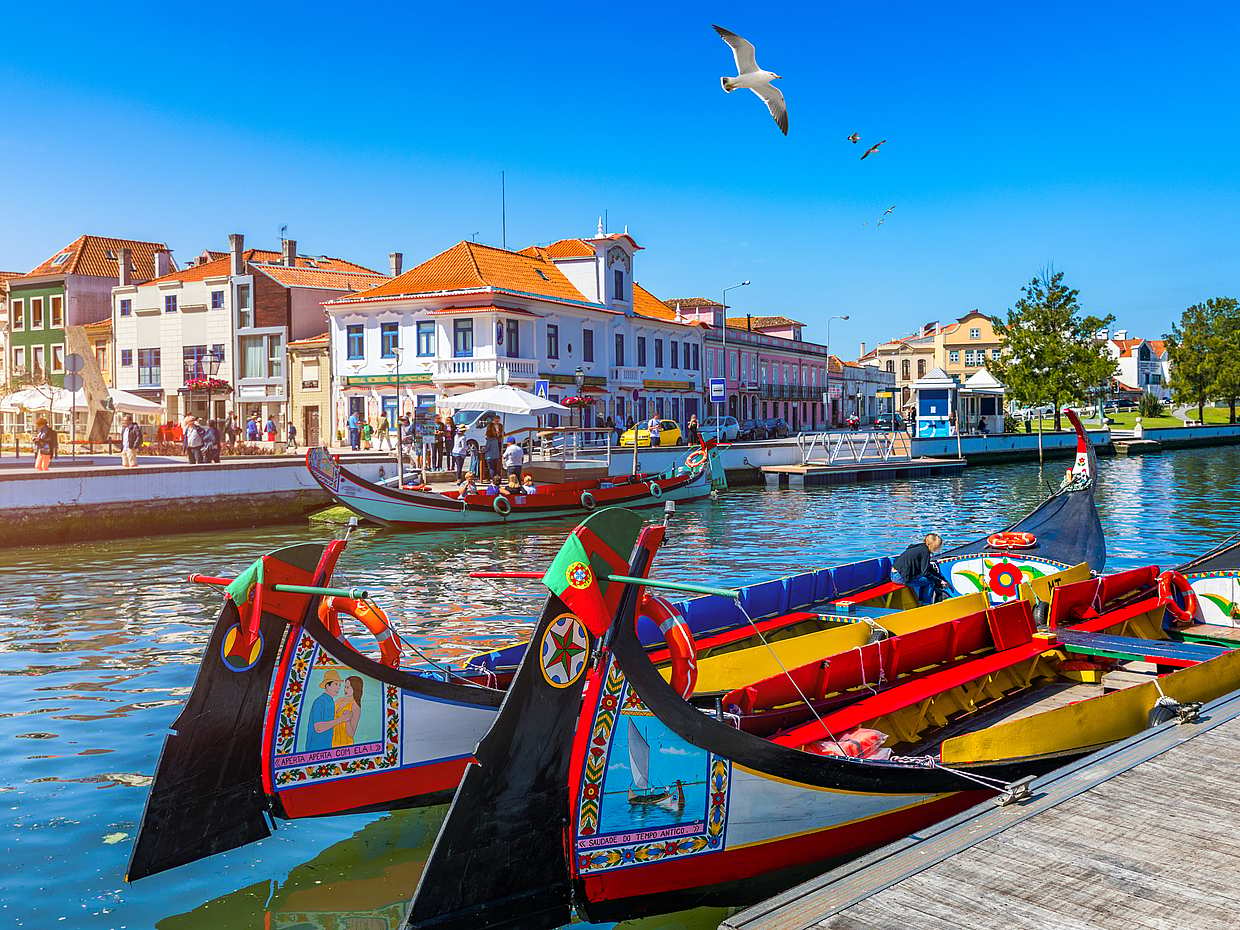 Aveiro & Coimbra Private Tour in Portugal, Lisbon