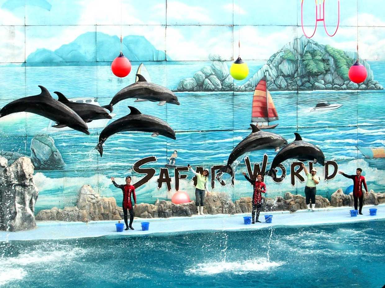 Bangkok: Prohlídka Safari World s lístkem do Safari a Marine Parku, obědem a transferem v Thajsku
, photo 4