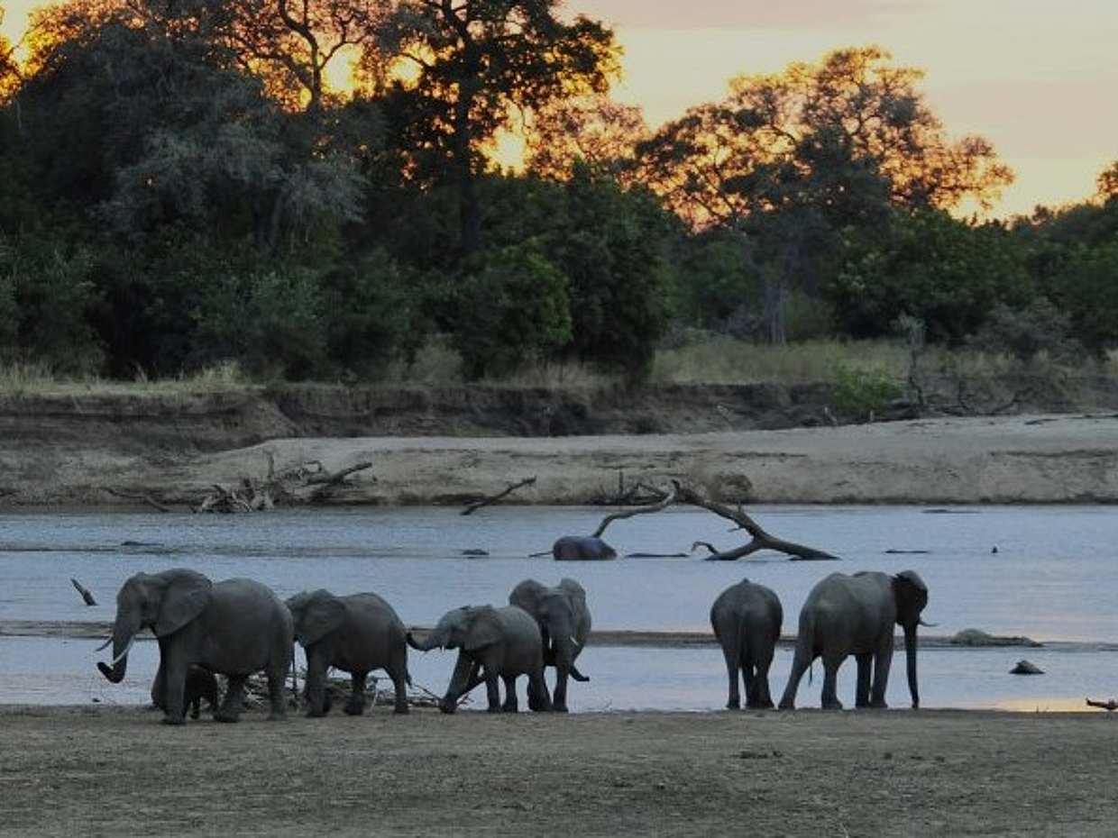 South Luangwa Private Night Safari in Zambia, Kakumbi, photo 4