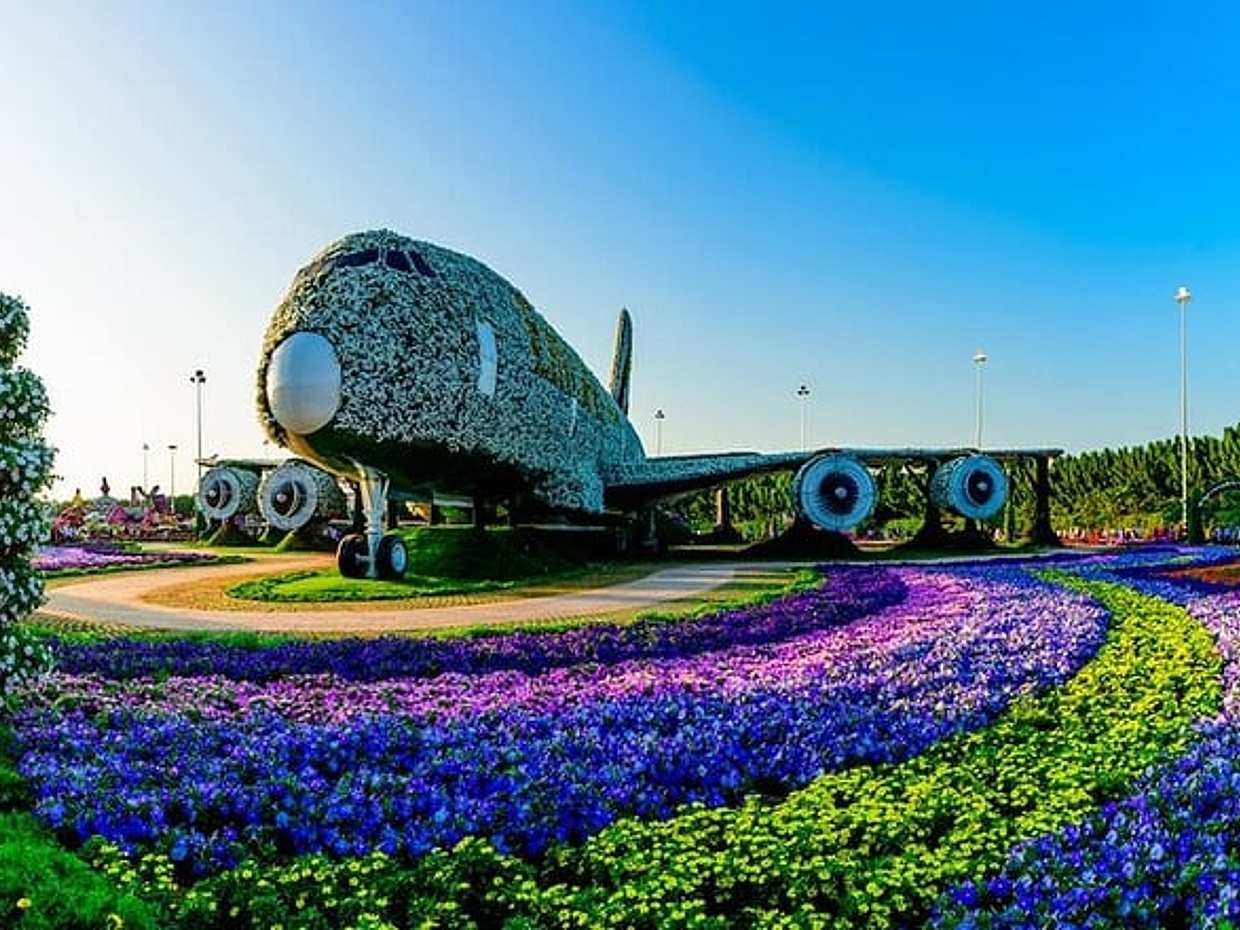 Miracle Garden and Butterfly Garden Combo, photo 2