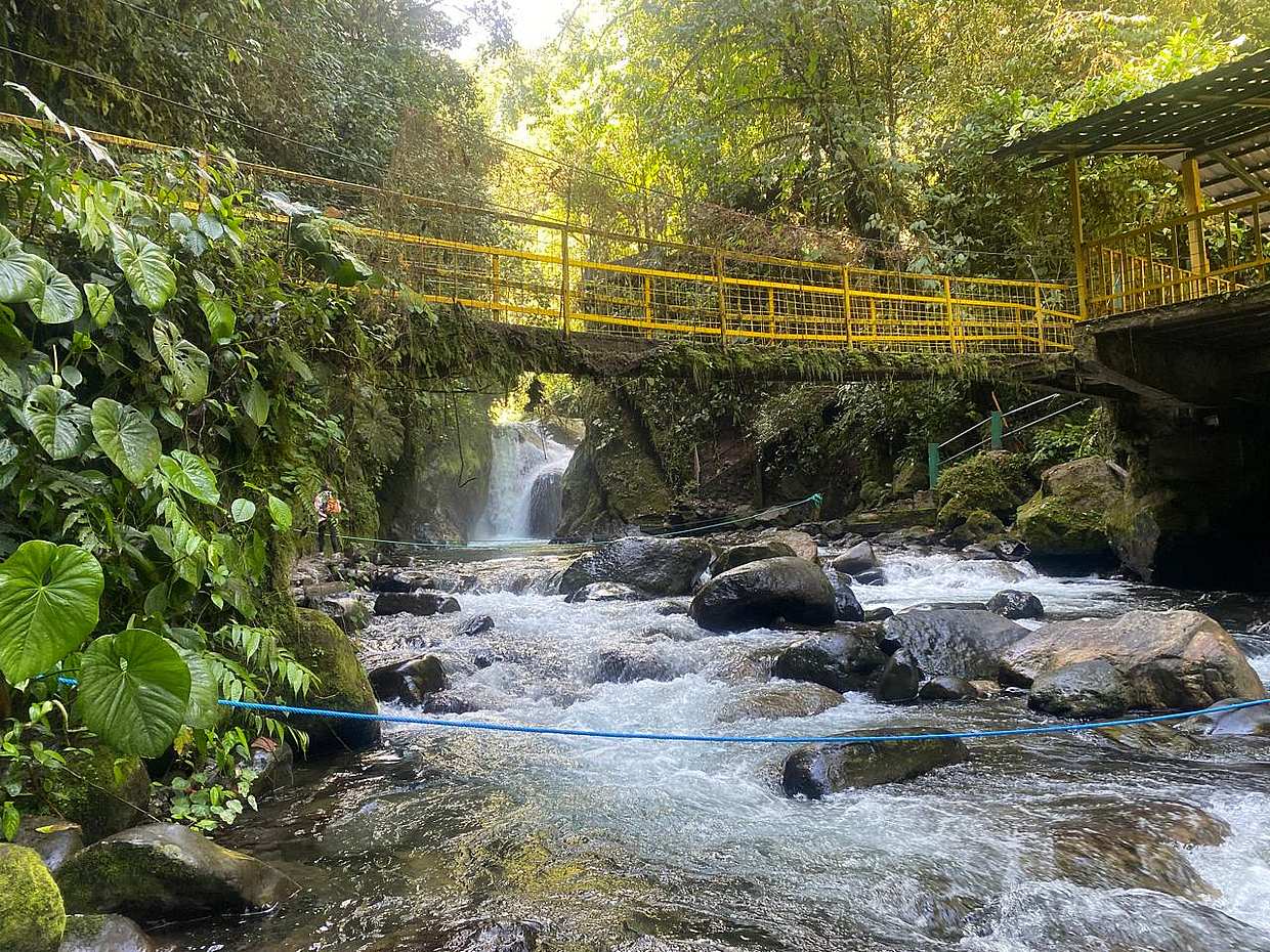 Mindo Cloud Forest Day Tour Naturaleza, Vida Silvestre & Experiencia de Chocolate en Ecuador, Quito, photo 3