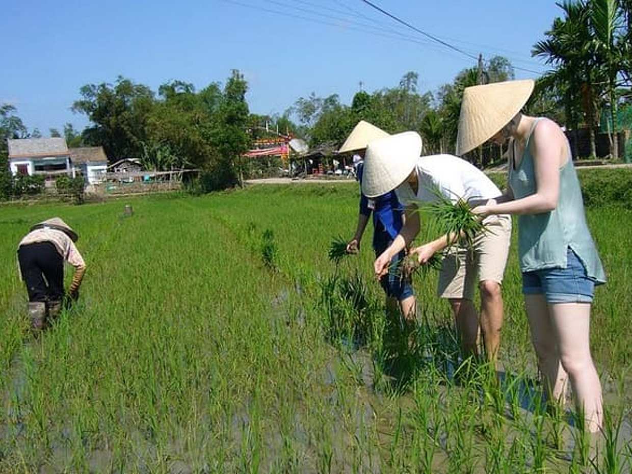 Öğleden Sonra Geleneksel Kırsal Bisiklet Turu Hoi An Vietnam, photo 2