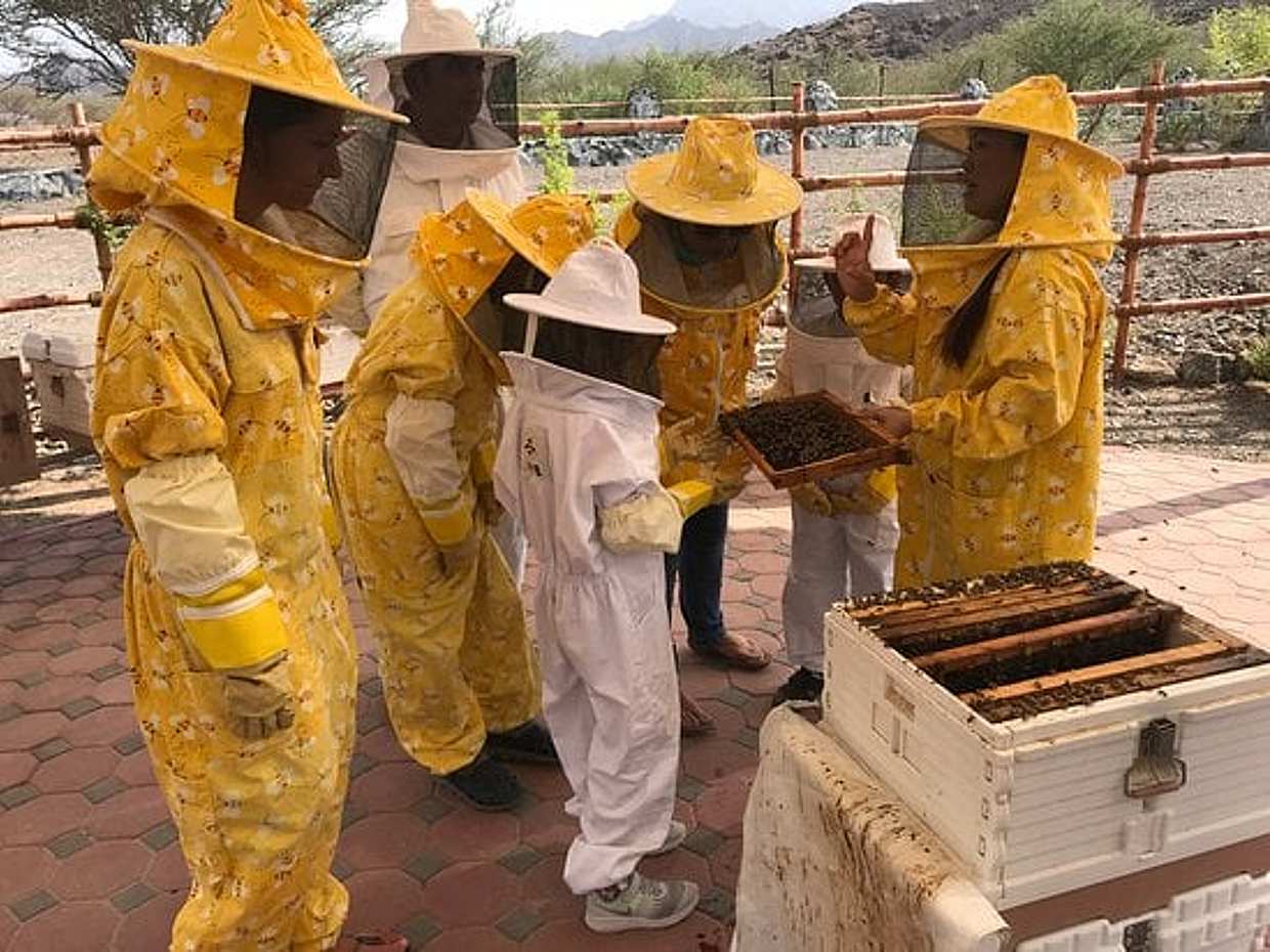 Ranní pouštní safari s návštěvou Honey Bee Garden ve Spojených arabských emirátech, Dubaji., photo 3