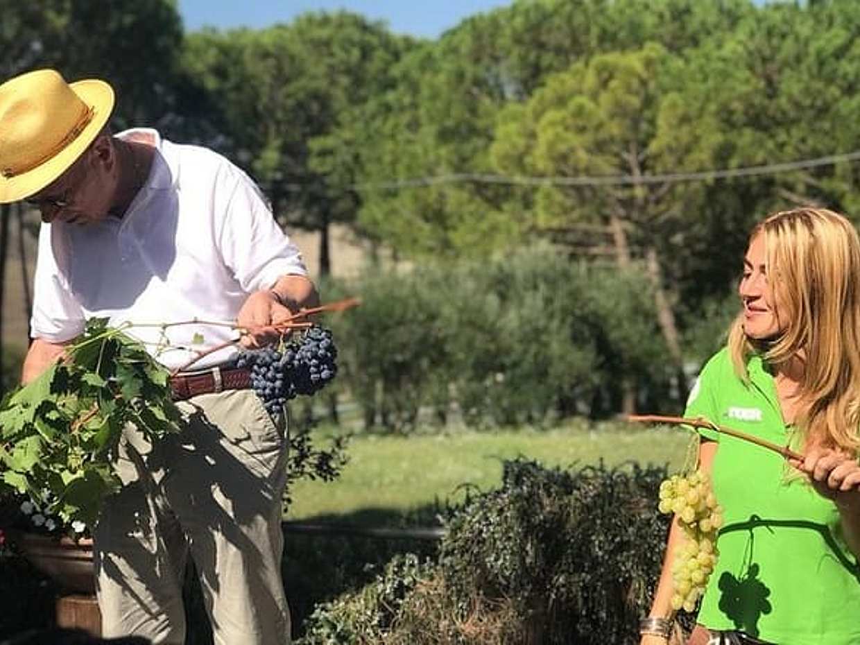 رحلة النبيذ في فال دورتشا مع الغداء وبرونيلو من سيينا في إيطاليا