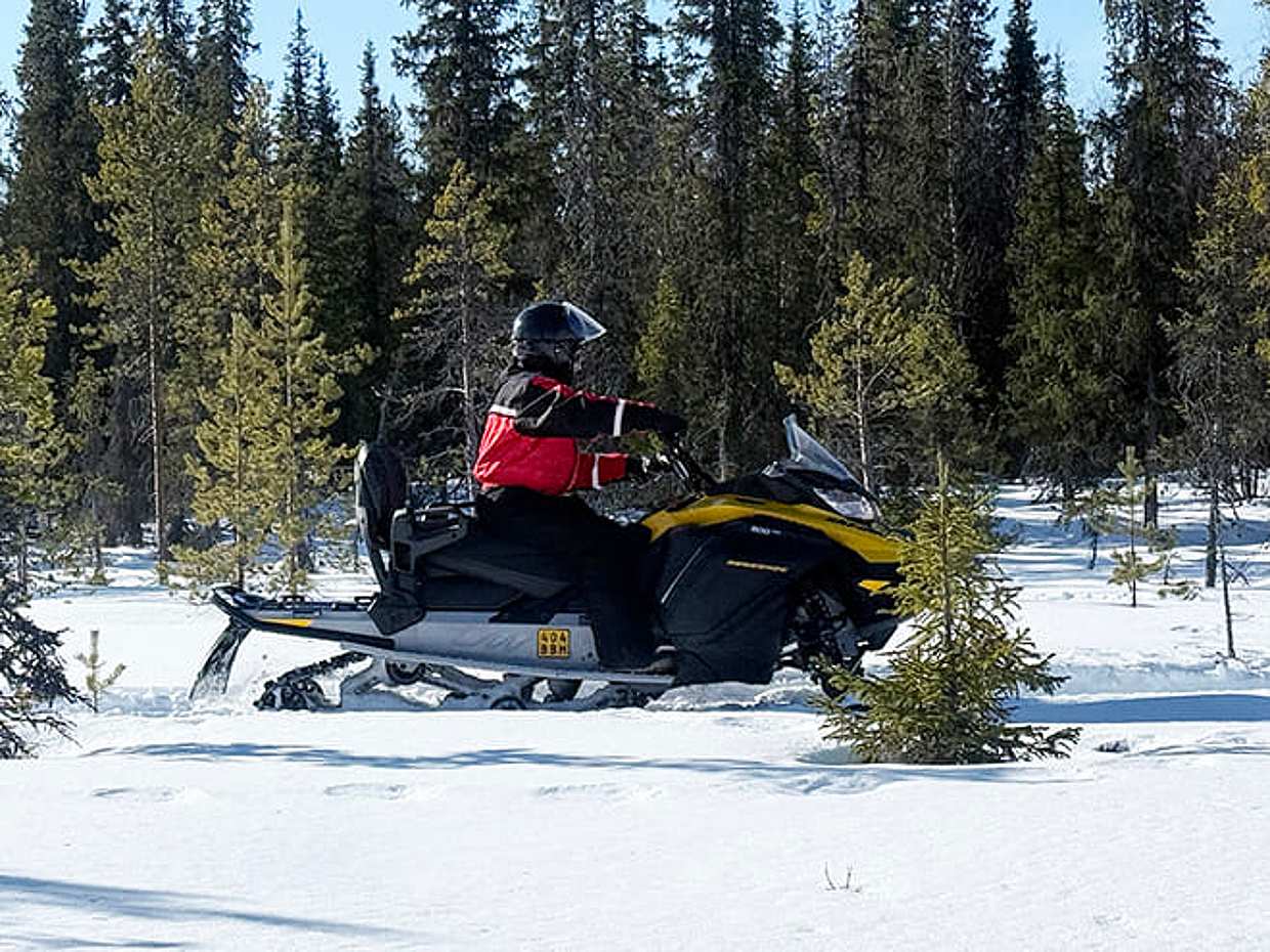 Extended Snowmobile Safari, Levi — long wilderness trails, adults only, photo 4