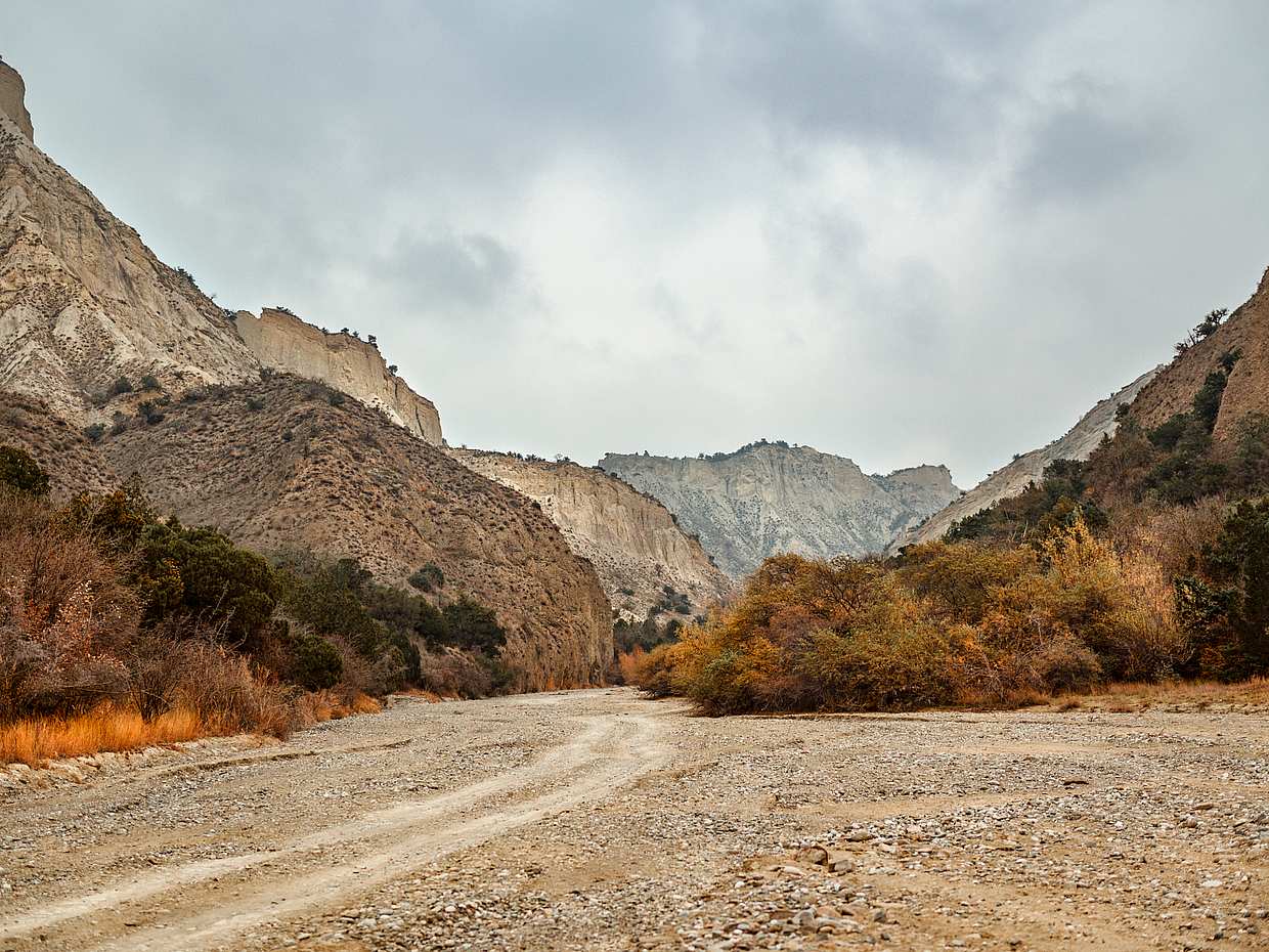 2-day Horse Riding Tour in Vashlovani National Park, photo 5