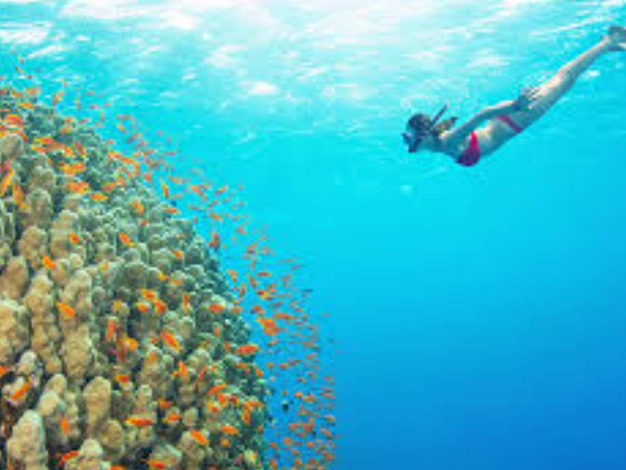 Bali: Padangbai Blue Lagoon Snorkeling with Local Guide in Indonesia