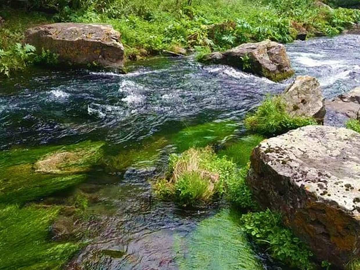 "Descubre el Cañón de Tsalka: Recorrido panorámico desde Tbilisi en Georgia", photo 3