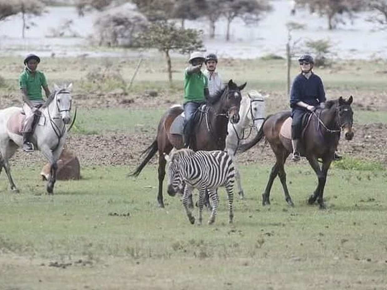 Breathtaking Hellsgate and Lake Naivasha Day Trip- Free WI FI in Kenya, Nairobi, photo 3
