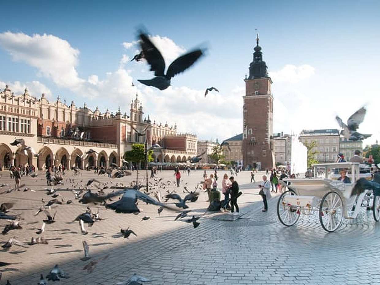Krakow Old Town Tour - PRIVATE tour from Katowice (8h)