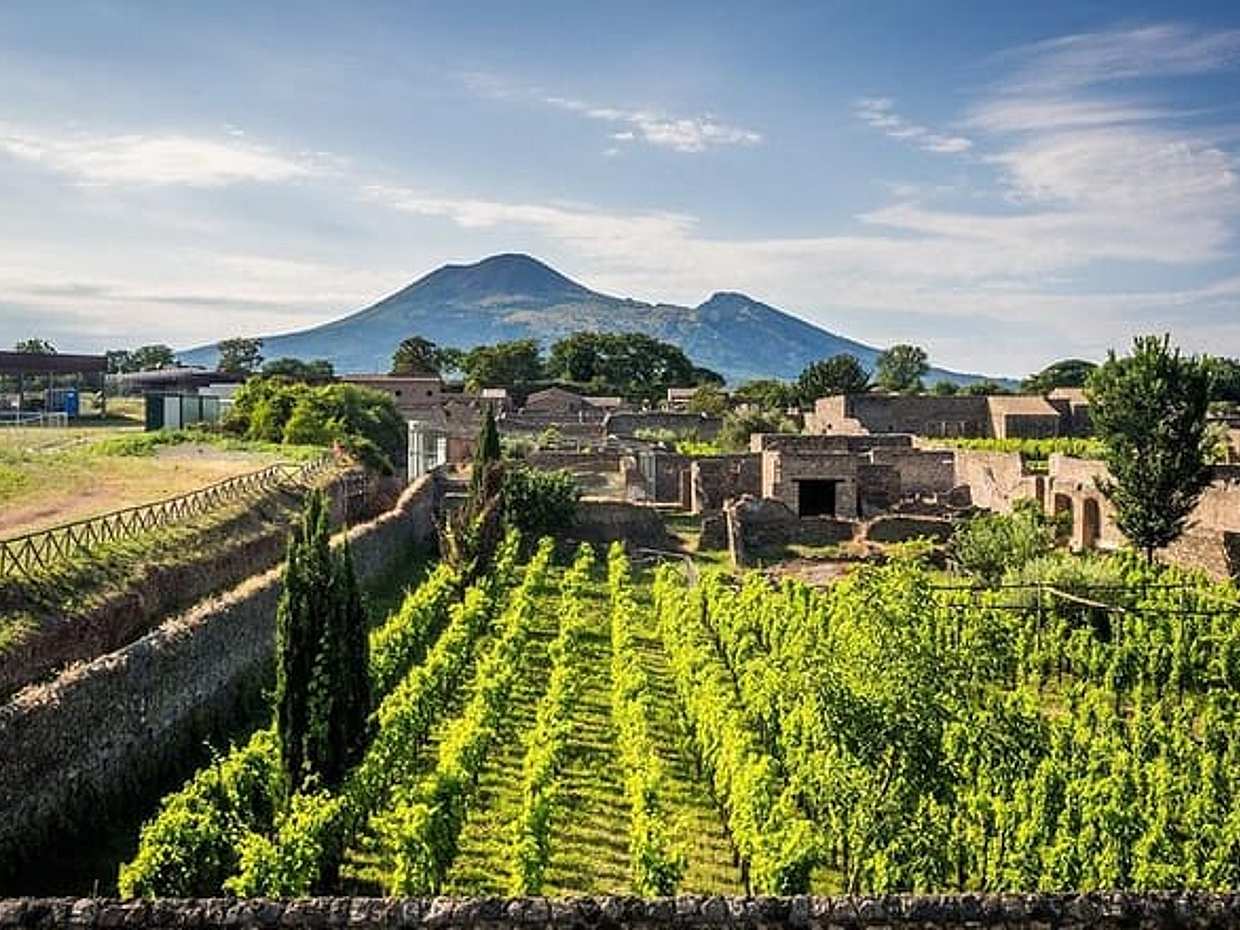 Vesuvius, Pompeii Ruins, experience vineyards and the winery tour with lunch., photo 5