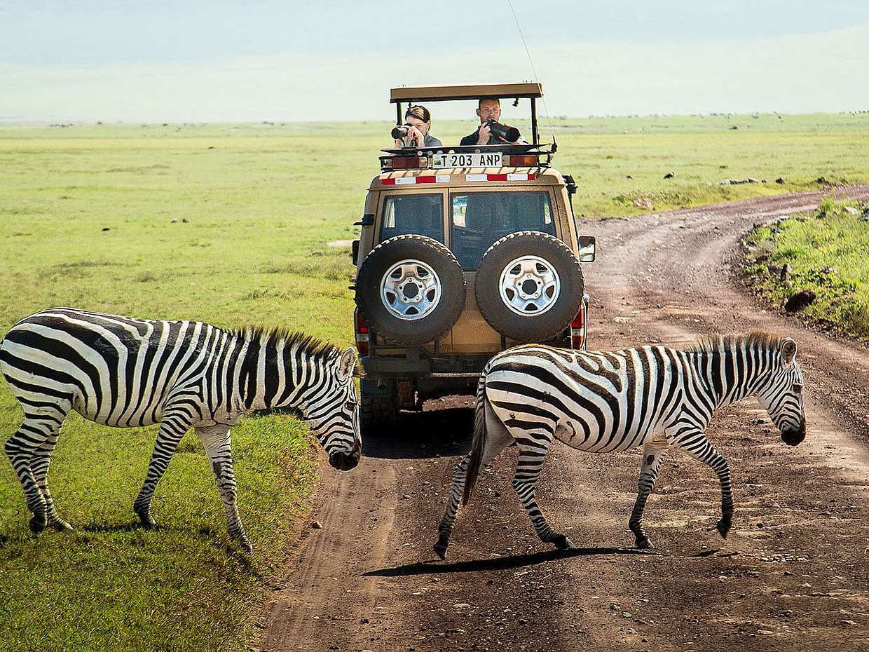 3-dniowe prywatne safari do Tarangire, nad jezioro Eyasi i do krateru Ngorongoro z Aruszy w Tanzanii.
