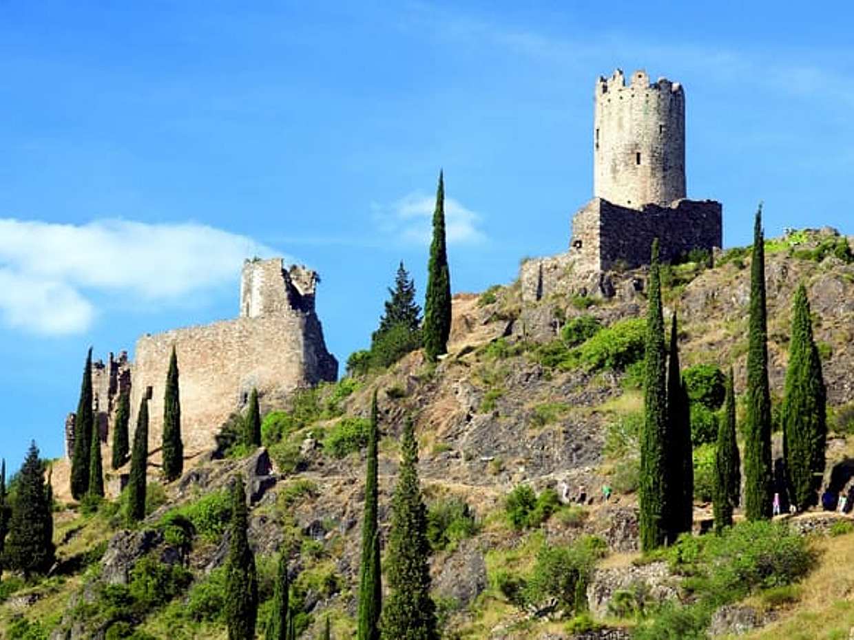 Private Excursion: Carcassonne & Languedoc Wine Tour from Port Vendres