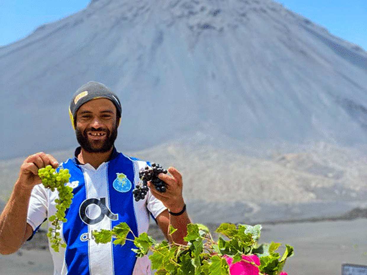 From Praia: Yeşil Burun Adaları, São Filipe'de Tam Gün Özel Fogo Adası Deneyimi, photo 5