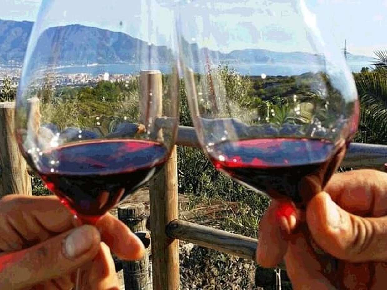 Wine Experience at a Vineyard on the slopes ofVesuvius, photo 4