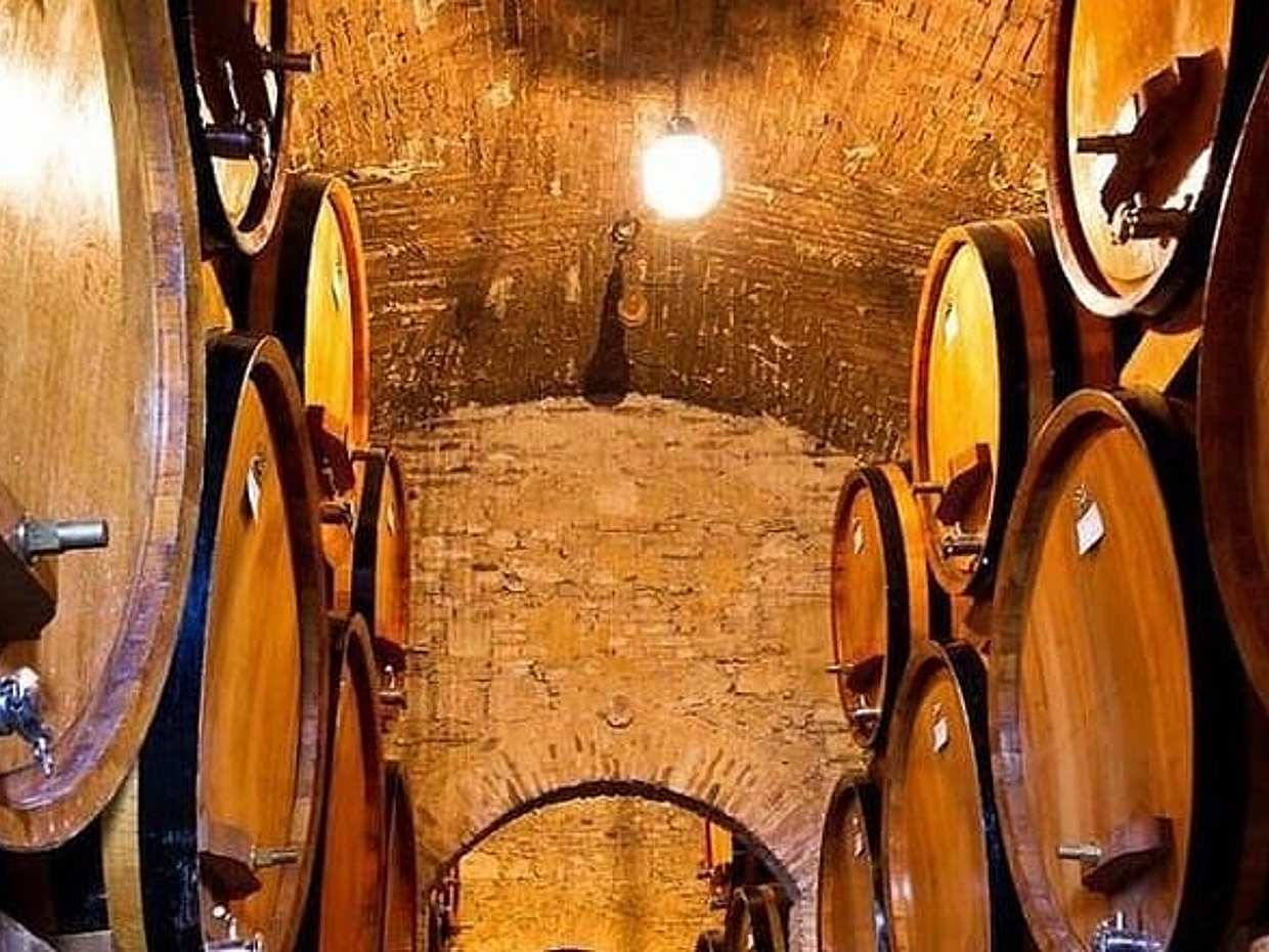 Chianti Private Tour with Dinner and Wine Tasting Experience, photo 4