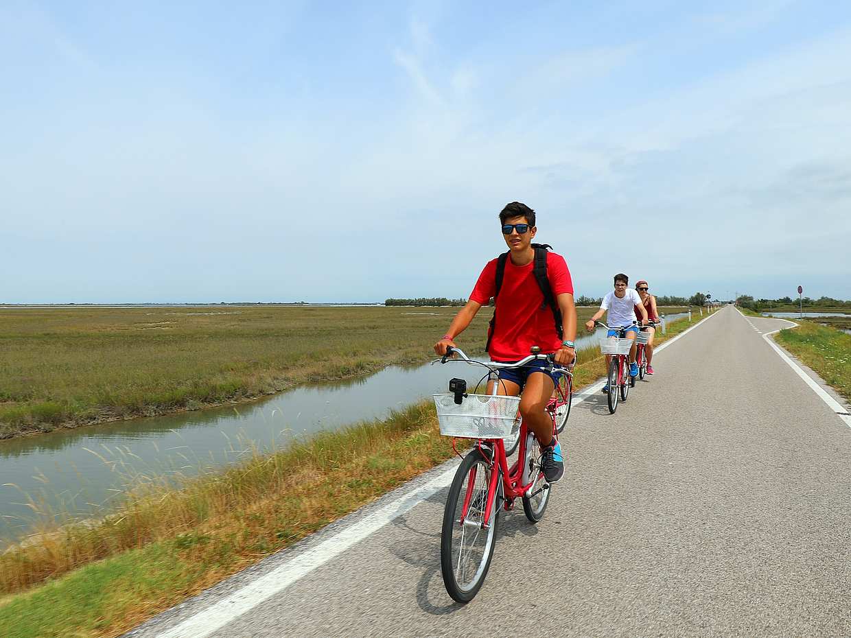 Birdwatching Bike Tour in the Lagoon of Venice, photo 2